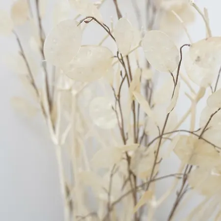 Dimora Del Sedile * Matera