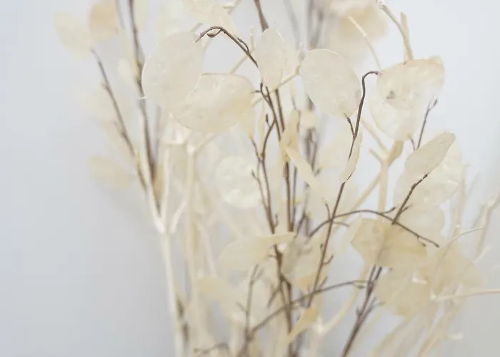 Dimora Del Sedile * Matera